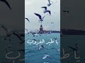 ناصيف زيتون رفرف يا طير الغروب حالات واتس اب