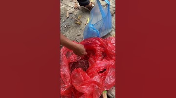 Người dân tay không bắt cá trên sông Tô Lịch vừa làm sạch #noibat #automobile #tintuc #thinhhanh