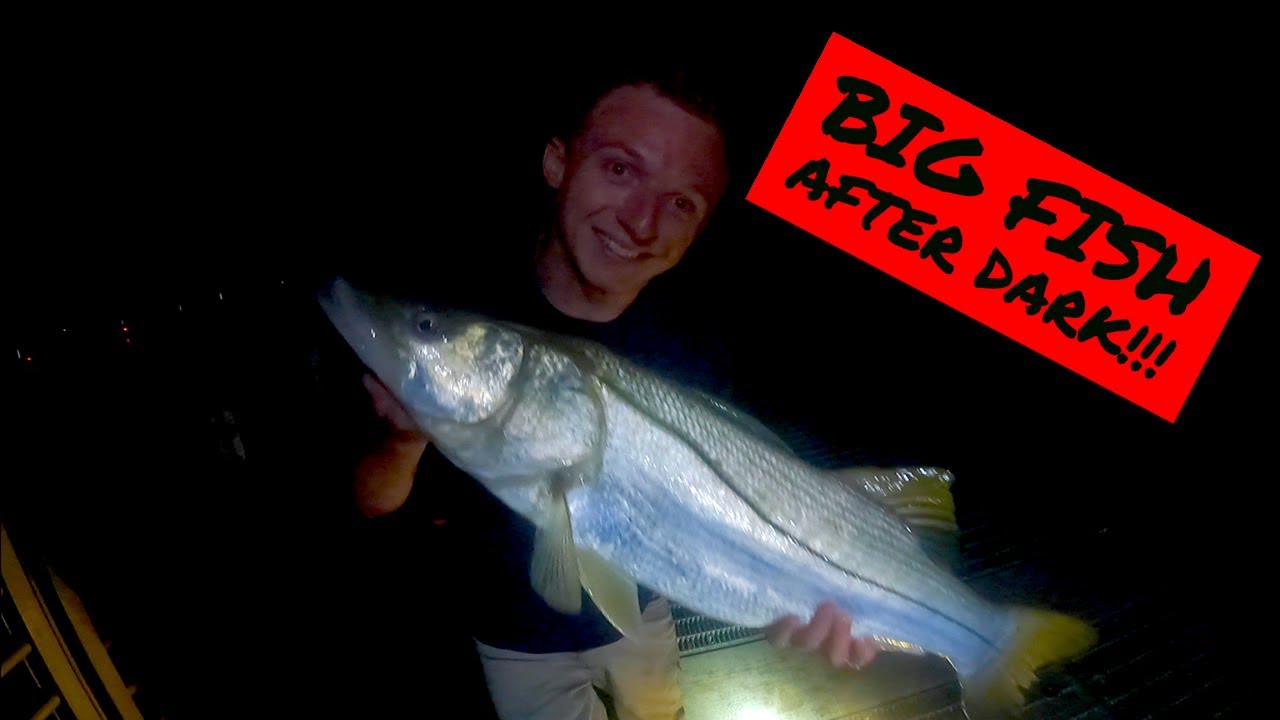 Awesome Nighttime Fish Bite! | SNOOK Fishing SEBASTIAN INLET On Artificials!