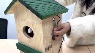 CW1 Owl Box installation video