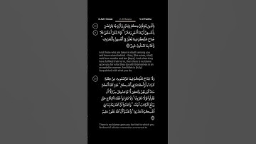 #DailyQuran [02] Surah Al-Baqara [234] | Maher Al-Mu'aiqly - سورة البقرة | ماهر المعيقلي