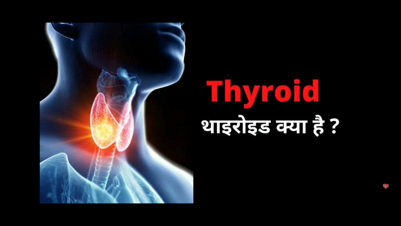 Thyroid Meaning In Hindi क्या है थायराइड? थायराइड लक्षण, कारण Thyroid In Hindi YouTube