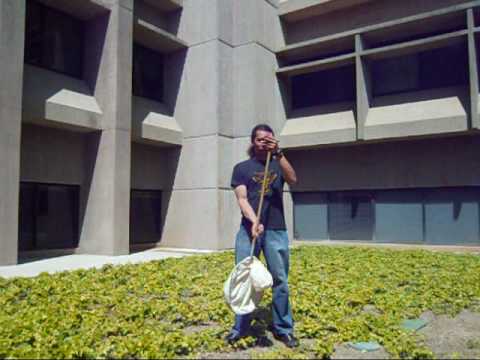 netting.wmv