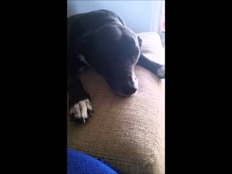 Vlogging Adrift: Lazy Afternoon Day 9