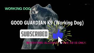 SUBSCRIBE ON YOUTUBE by GOOD GUARDIAN K9 (Working Dog) 49 views 9 months ago 6 seconds