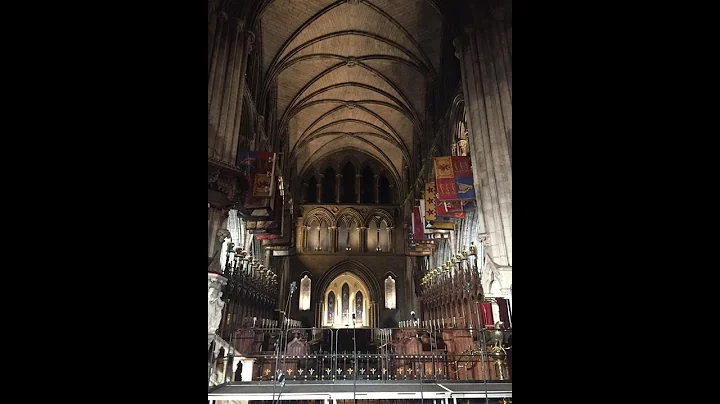 Patricia Higgins playing  Schubert's Ave Maria on ...
