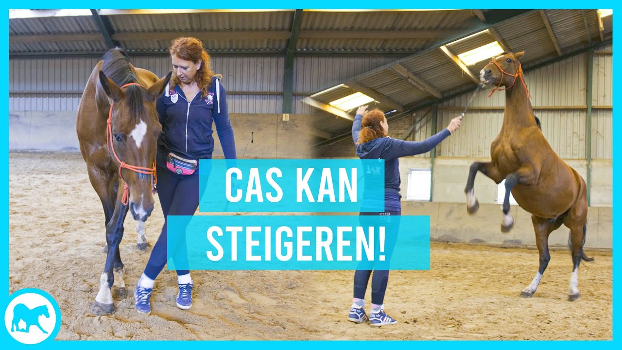 Cas heeft leren DANSEN en STEIGEREN!