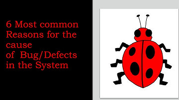 What are the Common Reasons for the cause of bug / defect in the software