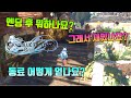 그랑블루 판타지 리링크 1회차 플탐,챕터 수 엔딩후 요소들과 동료 티켓은 어떻게?? 등등 주절주절!!