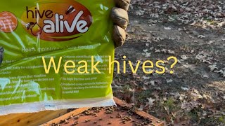 How to Keep Your Bees Alive This Winter