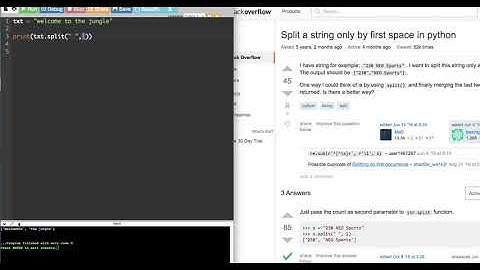 Day 8, How to Split a String by space in python