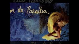 Tum,tum,tum / Mulata no coco Elba Ramalho