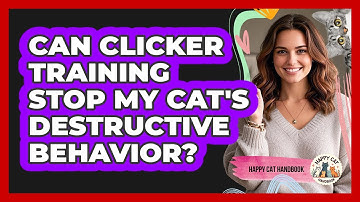Can Clicker Training Stop My Cat
