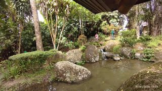 Japanese Garden 27-1-24 by Desmond Lee 19 views 3 months ago 2 minutes, 43 seconds