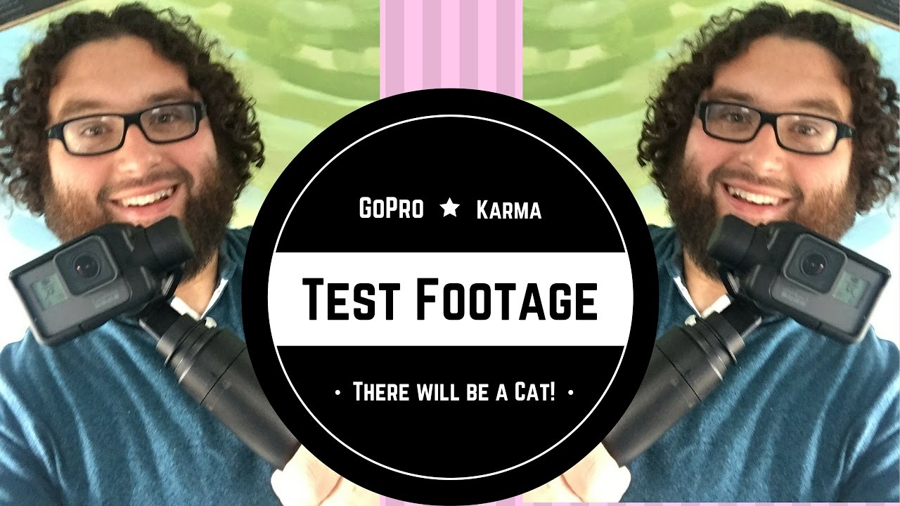 GoPro Karma Grip Test Footage {warning cat video ahead}