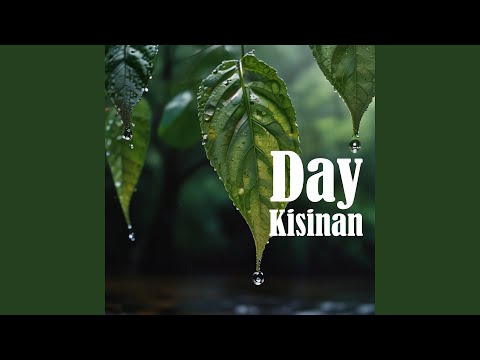 Kisinan 2