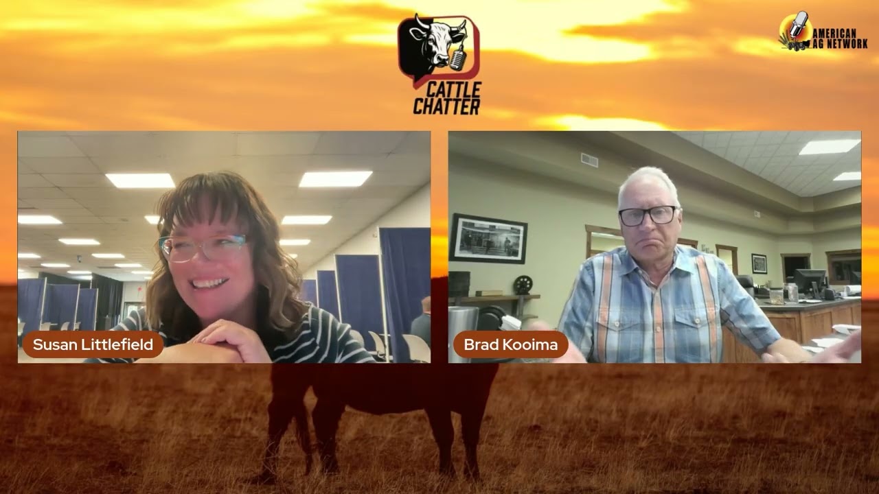 Screwworm Fears Fade as Cash Cattle Fuels Rally 6 4 26 Cattle Chatter