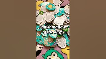 Squishmallow of the day!! #squishmallows #squishmallowsquad #squishmallowhunting #squish #shorts