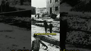 Eficiența Monstruoasă: Birocrația Care a Organizat Holocaustul din Balcani