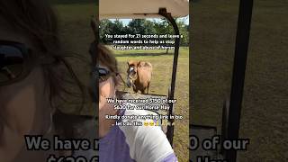 Lets Stop Slaughter Of These Precious Animals . Donate Link In Bio