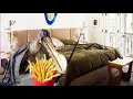 Asmr ornithocheirus eats fries in your bedroom while your parents are going through a divorce