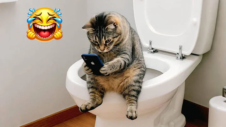 Watch the video about The Funniest Cat Videos 🐱 2025 Try Not To Laugh #cat #animals