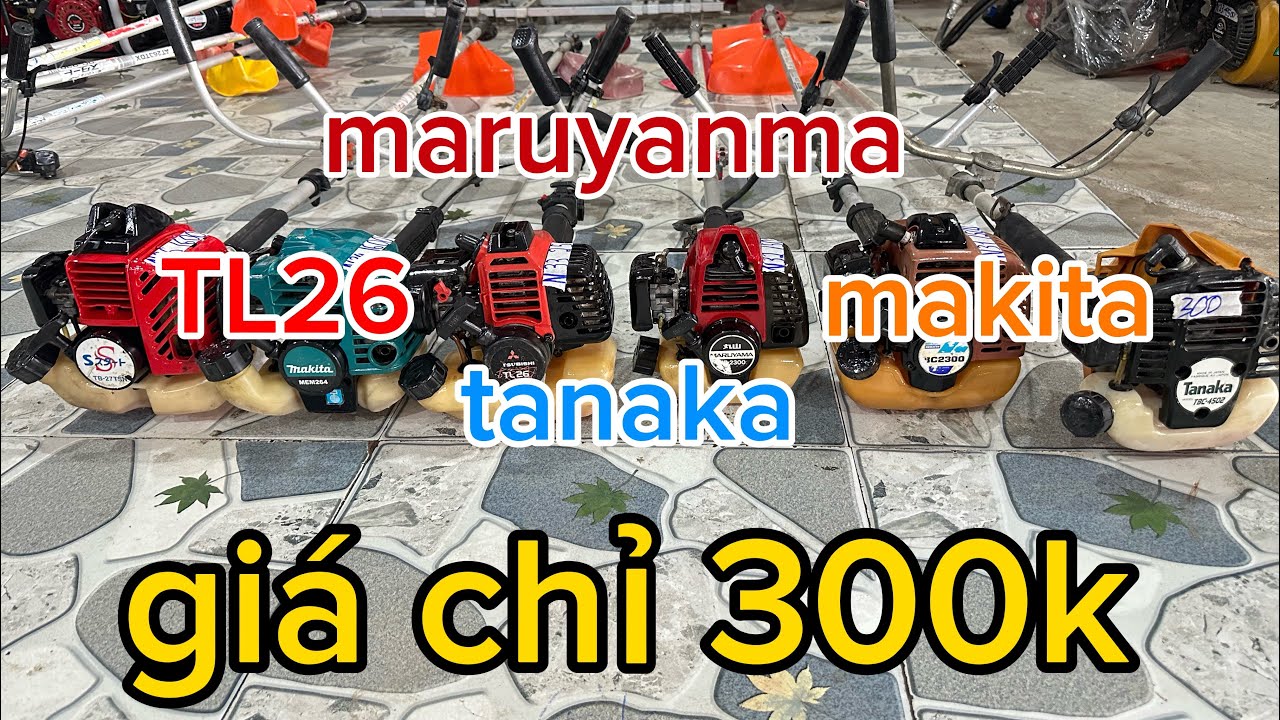 24/02 máy cắt cỏ