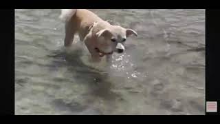 Little Boracay Santa Maria Davao Del Sur Philippines 1