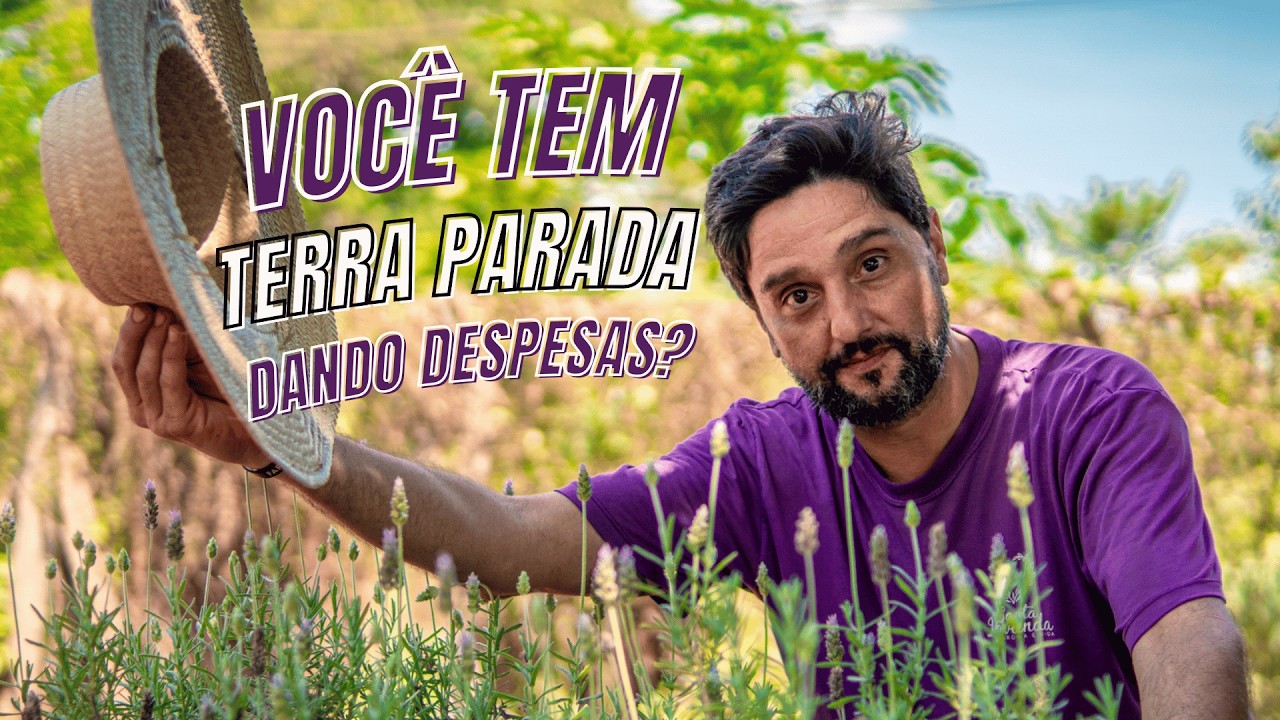 Como Transformar Terra Parada em Lucro com Lavanda | Santa Lavanda