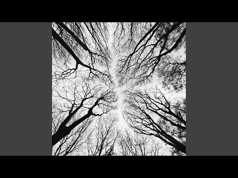 Rodenwald — Tauchstation (Pozek Remix)