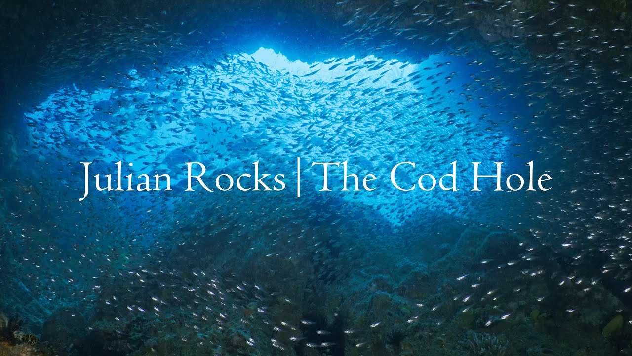 Diving Byron Bay | Julian Rocks | The Cod Hole | 4K