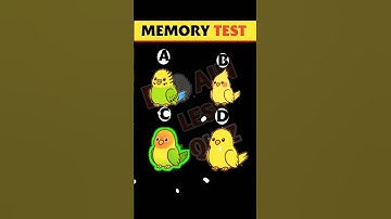 Memory Test #14 || Riddles And Puzzles For Iq Test 🤔 || #shorts #viral #paheliyan