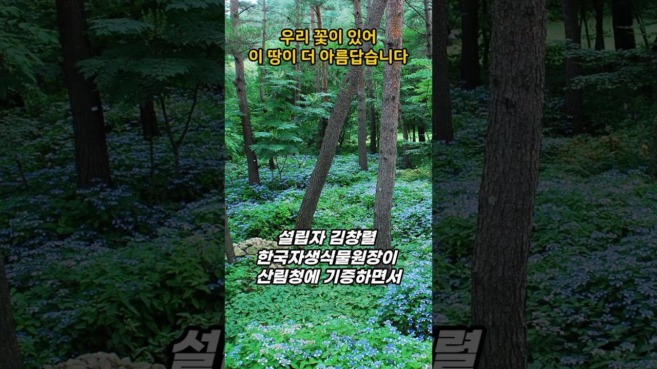 산림청 국립한국자생식물원 새단장 "아름다운 우리꽃 보러오세요" #shorts
