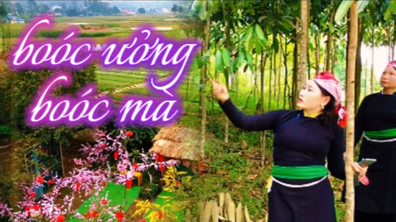 boóc ưởng boóc mà