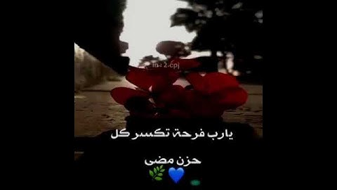 حالات قرآنيه _ ان الابرار يشربون من كان مزاجها كافورا _ سورة الإنسان
