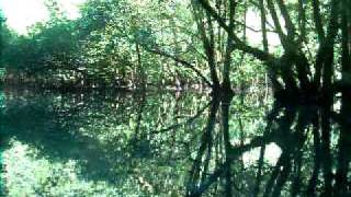 DSCF8222.AVI