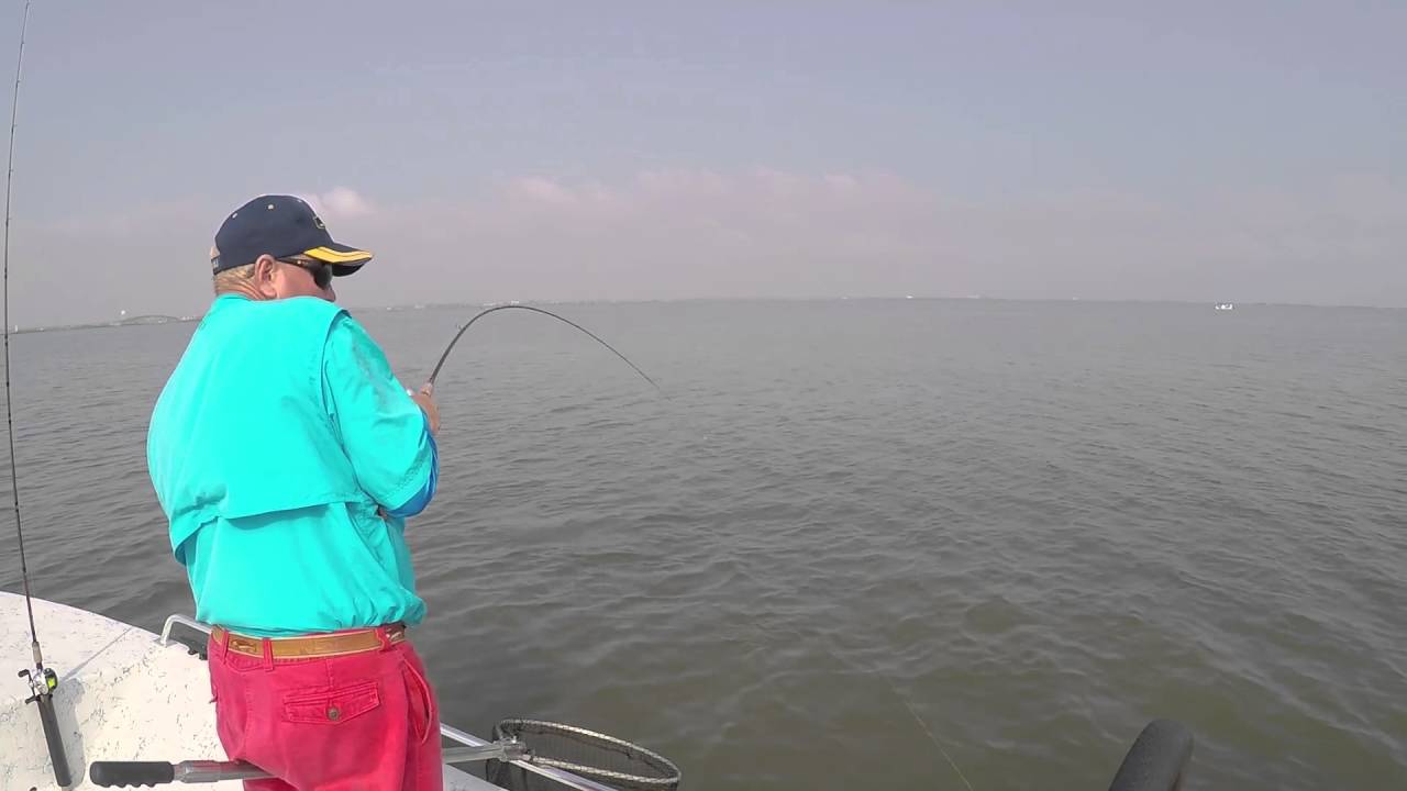 Short Fish Scouting Trip YouTube