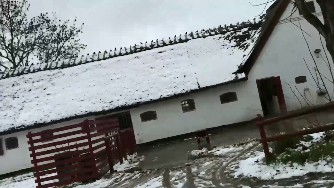 A relaxing winter walk in Lundtofte (Copenhagen) – see thatched cottages and horses in the snow