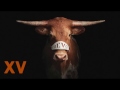 100 years of bevo