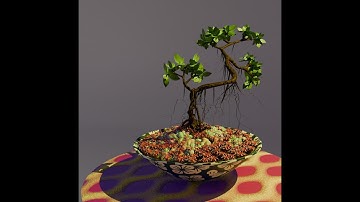 Bonsai Tree Part 1