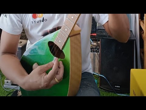 ลายลมพัดพร้าว-ดีดพิณ สดๆ