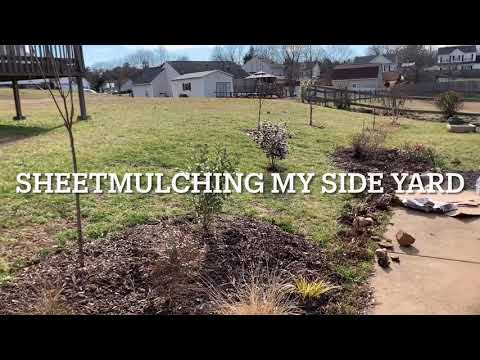 SHEET-MULCHING my side