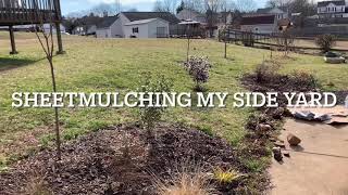 SHEET-MULCHING my side yard