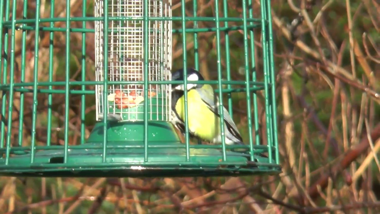 London Green Spaces: My Top 3