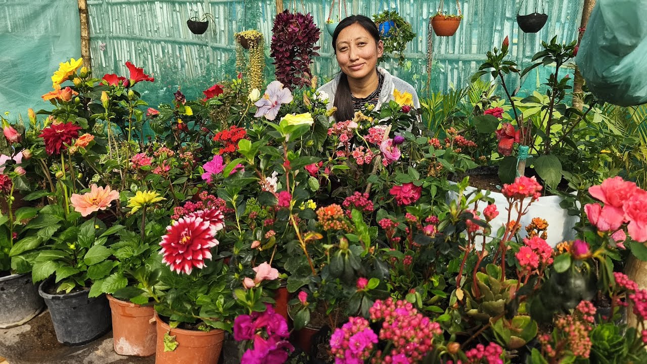 नयाँ नयाँ फूलहरू आयो है आयो।