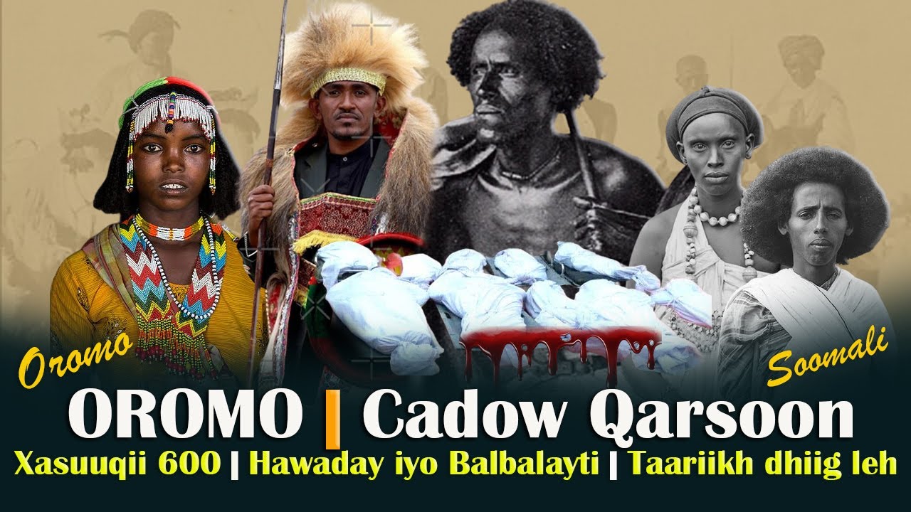 (1) Taariikhda Oromada & Soomaalida | Dagaal iyo Dhul Ballaadhsi | Dhoohanaanta Soomaalida