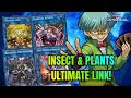 Search 5 Traps! - [Master Duel] Traptrix Ragnaraika Deck Profile Yu Gi Oh