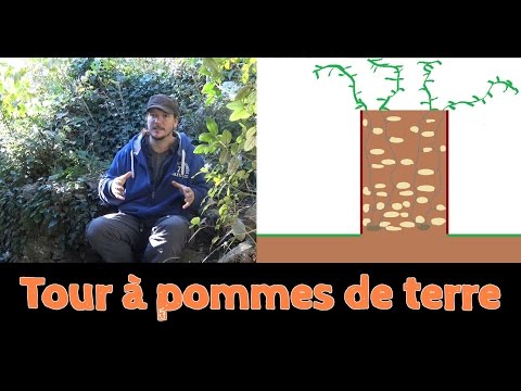 Vidéo: Tour de pommes de terre à faire soi-même pour le jardin : créer des tours de pommes de terre maison