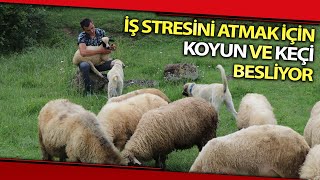 Doğa Tutkunu Ambulans Şoförü İş Stresini Koyun Ve Keçilerle Atıyor