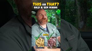 THIS or THAT? ⛏️ Gold & Gem Mining